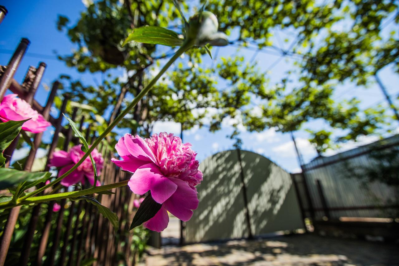 Guest House In Drachino Svalyava Exterior photo